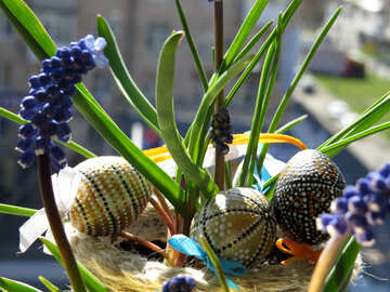 Fiore e uova di Pasqua №29659