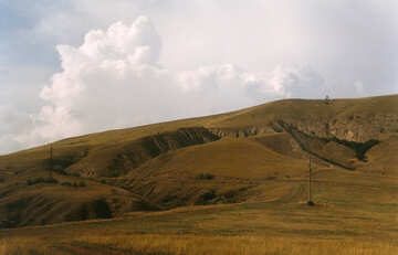 Hills Voloshin №29169