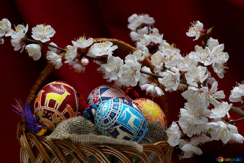 WallpapersWide.com : Easter Ultra HD Wallpapers for UHD, Widescreen,  UltraWide & Multi Display Desktop, Tablet & Smartphone | Page 1
