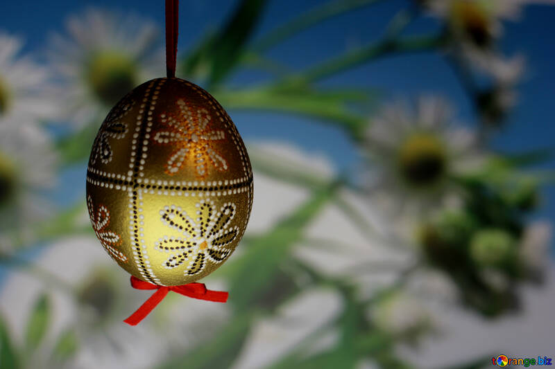 Paint eggs for Easter №29347