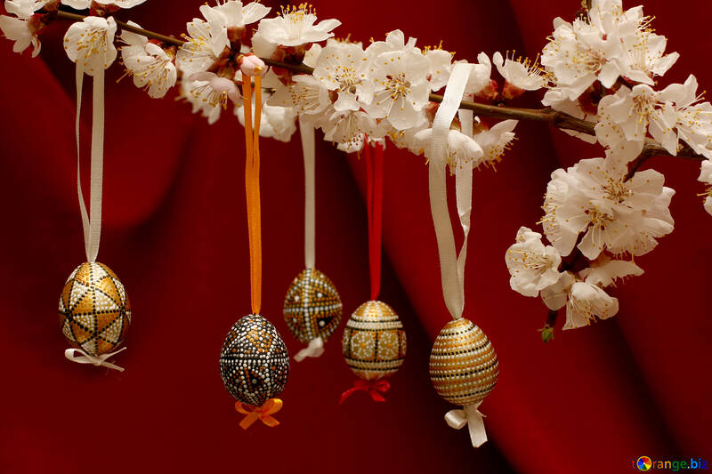 Easter eggs on flowering tree №29845