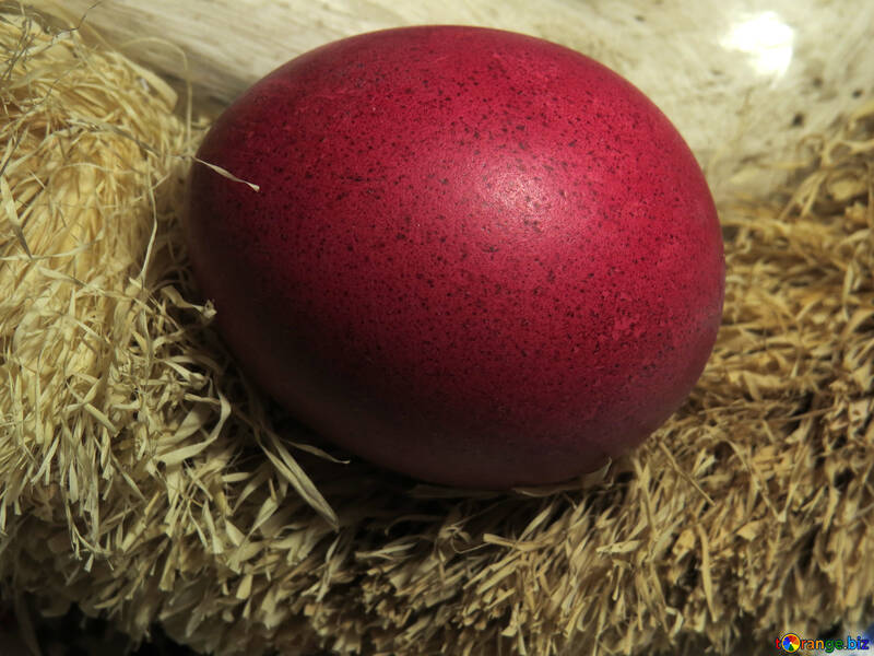 赤の卵 №29410