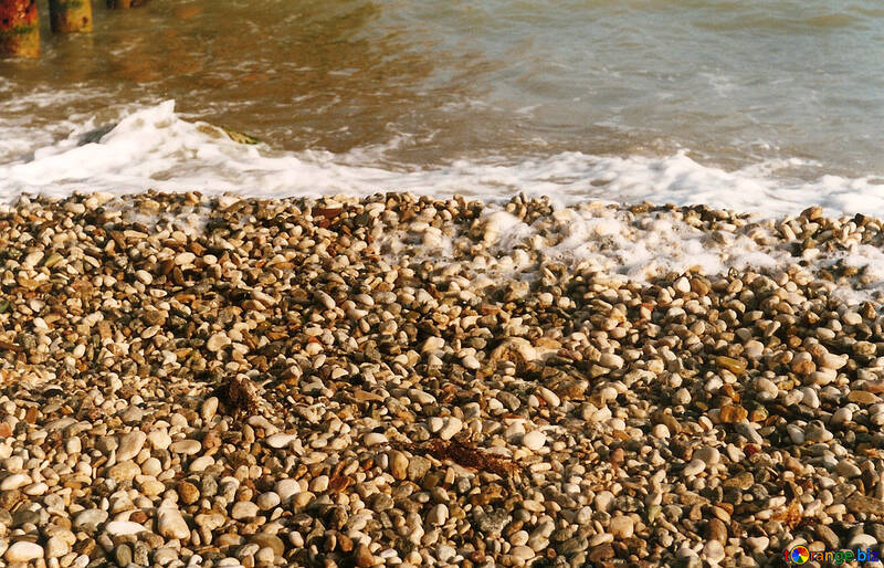 Krim Kiesel auf dem Strand №29246