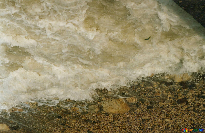 Sea foam №29153