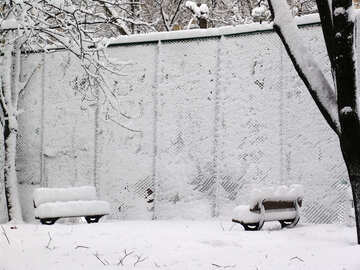 Снігопад у парку №3437