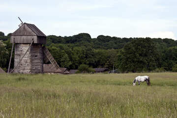  Landschaft mit einem Pferd und einer Mühle  №3278