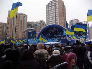 Scene Yanukovych under CEC №3548