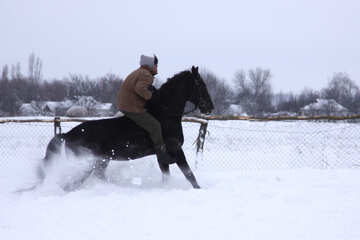 Reiter auf einem Pferd ohne Sattel im Schnee №3956