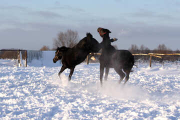 Horse kick №3959