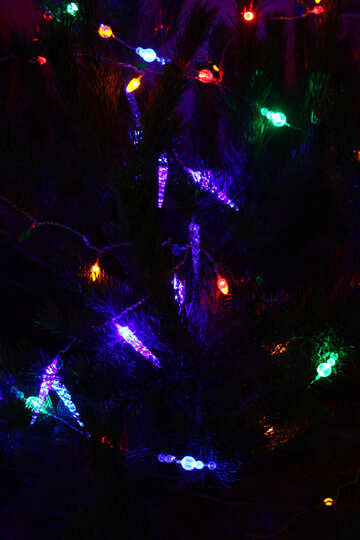 Garlands of Christmas tree №3946