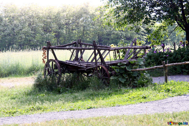 Old cart №3136