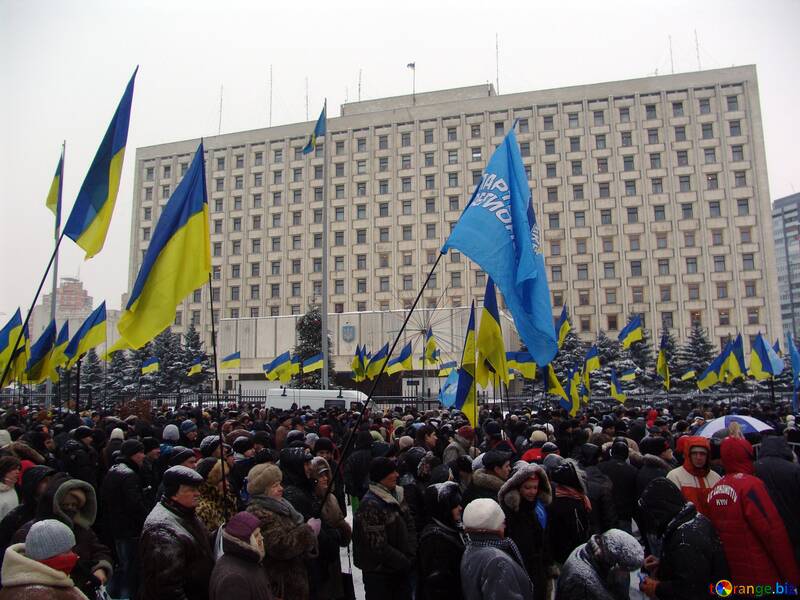 Los partidarios de Yanukovich en virtud de la CCA (CCA) №3545