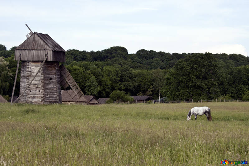  Paysage avec un cheval et un moulin à vent  №3278