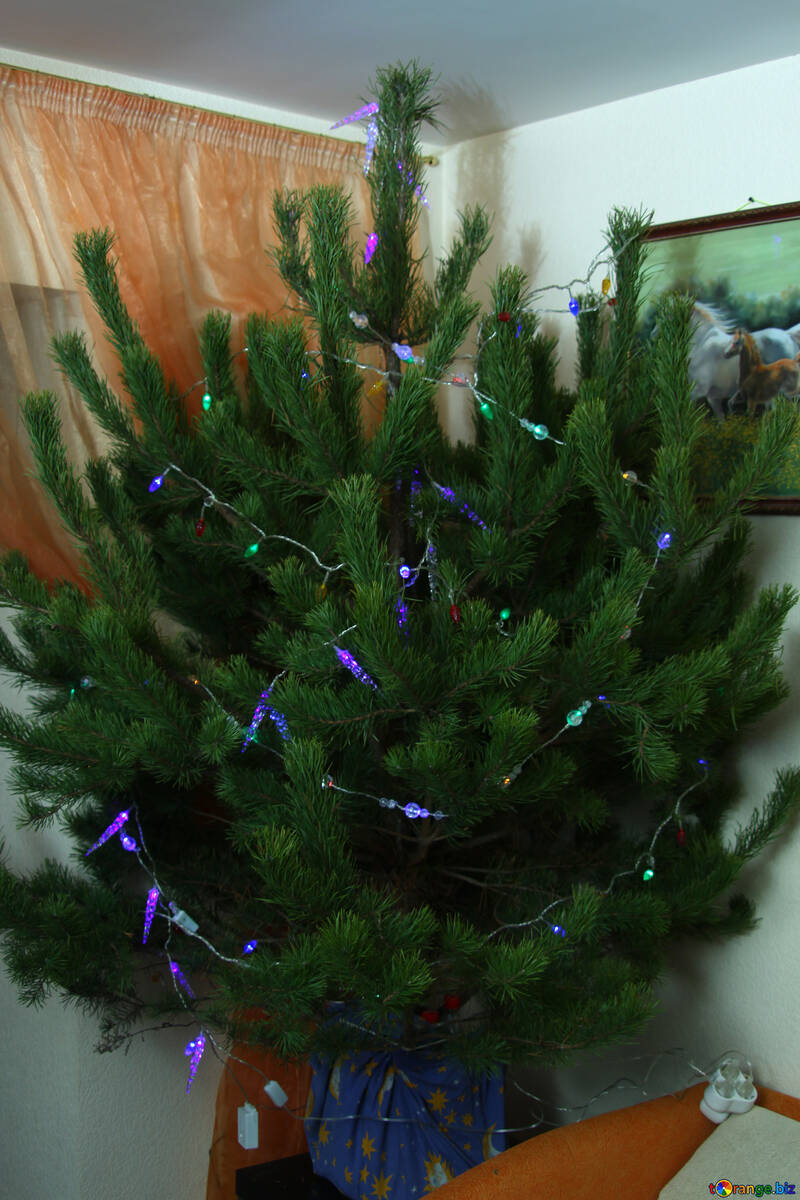 Flaumig Weihnachten Baum in Ecke №3945