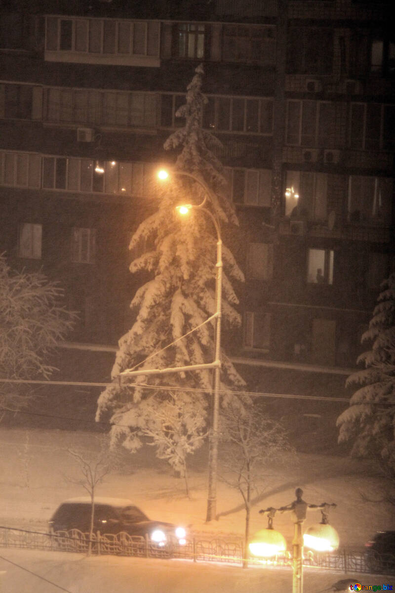  雪で覆われた クリスマス 木 都市  №3492
