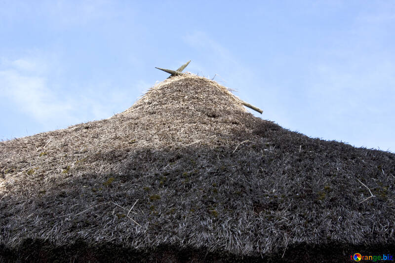  Old village roof of reeds  №3299