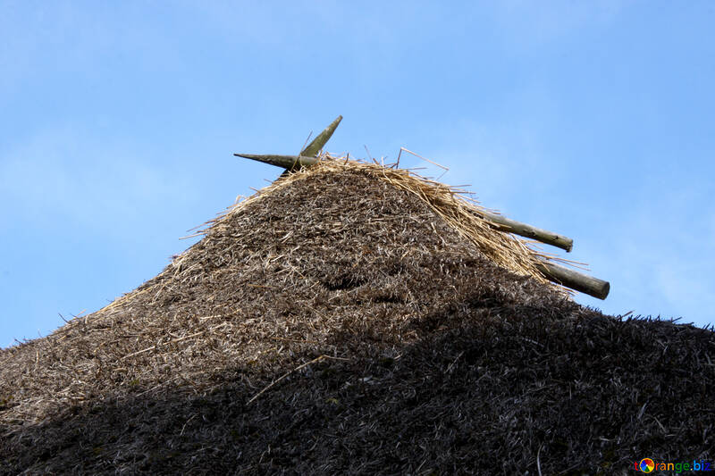 Thatched roof №3290