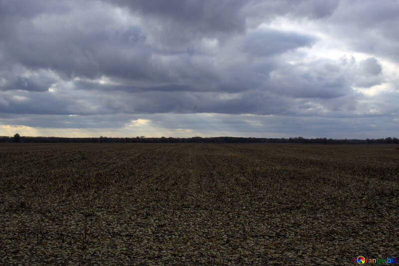 Field of topsoil. №3530