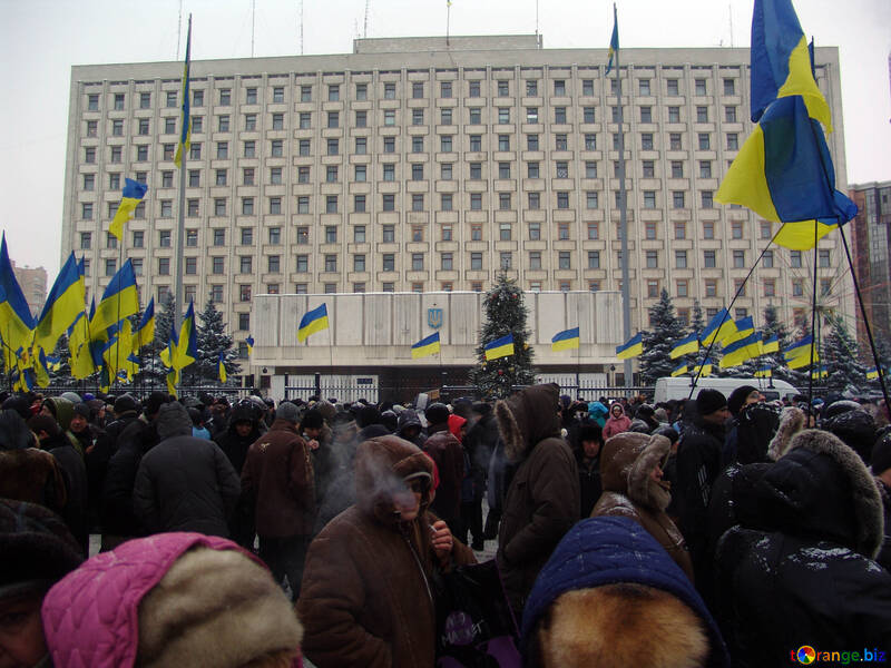 The protesters were supporters of the Party of Regions in Kiev №3551
