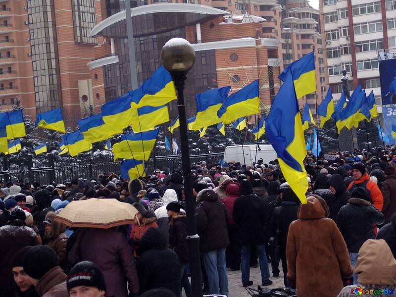 Manifestación de apoyo Yanukovich №3555