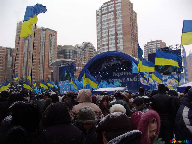 Scene Yanukovych under CEC №3548