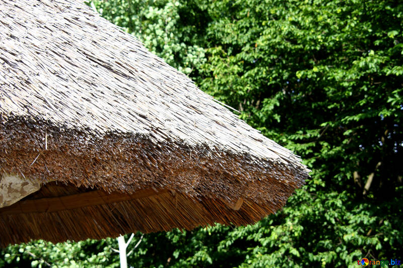  natural roofing material. Reed . №3127