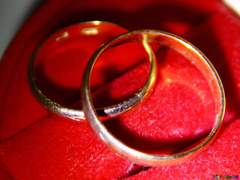 Los anillos de boda №3654