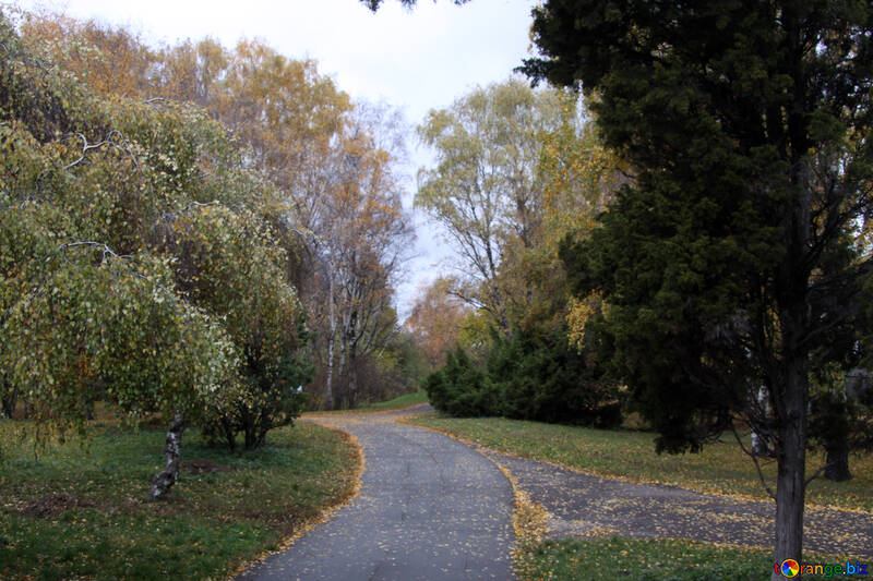 Park path №3343
