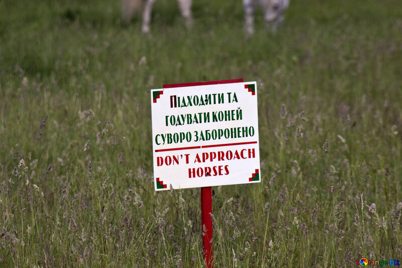  approaches and to feed the horses is strictly prohibited  №3263