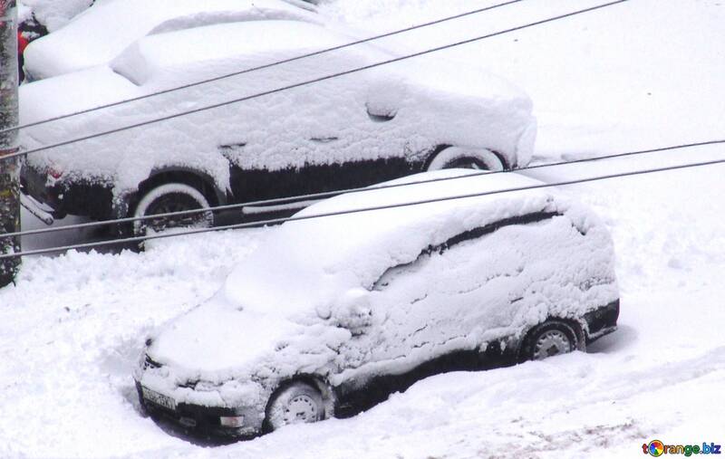 Машини засипані снігом №3401