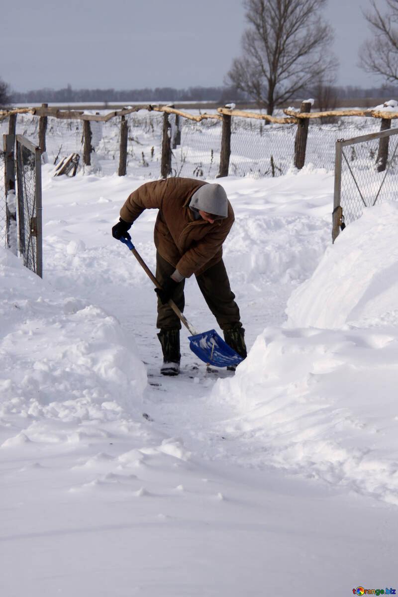 Чоловік прибирає сніг лопатою №3985