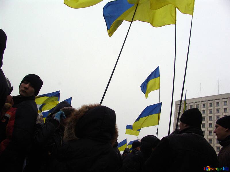 Die Demonstranten im Winter №3549