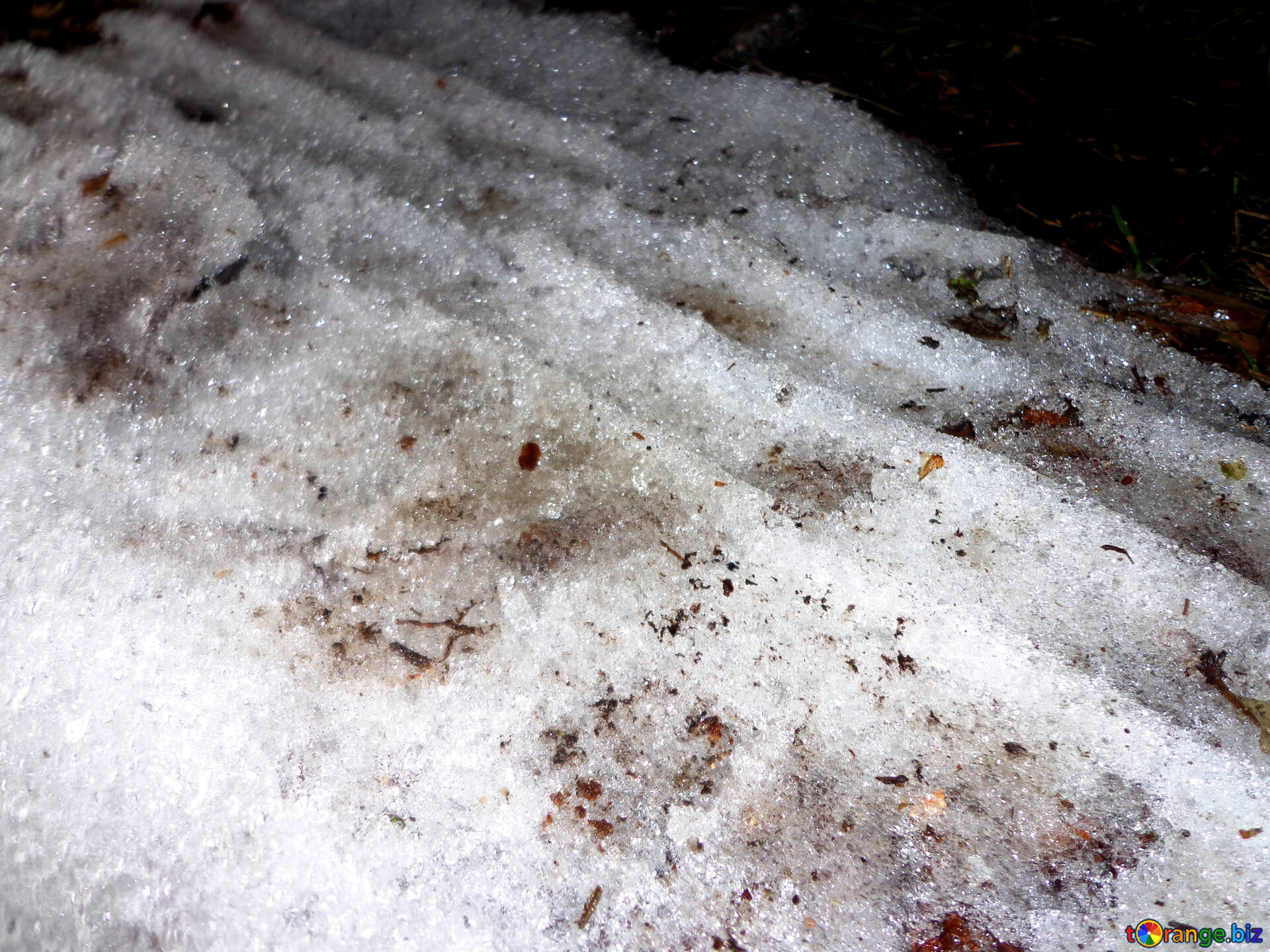 Грязный сугроб. Загрязнение снега. Грязный снег. Грязный снег текстура.
