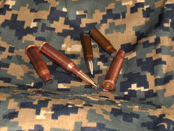 Ammunition for firearms №30567