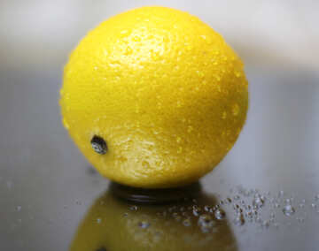Лимон №30869