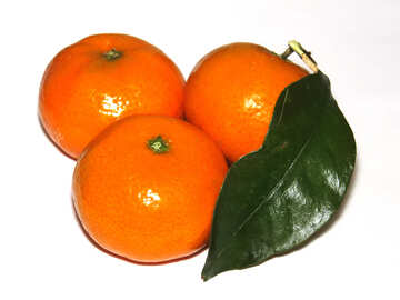 Mandarins №30342
