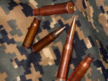 Bullets and cartridge cases №30570