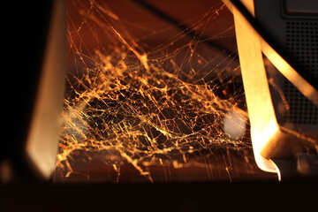Spider Web in the corner №30967