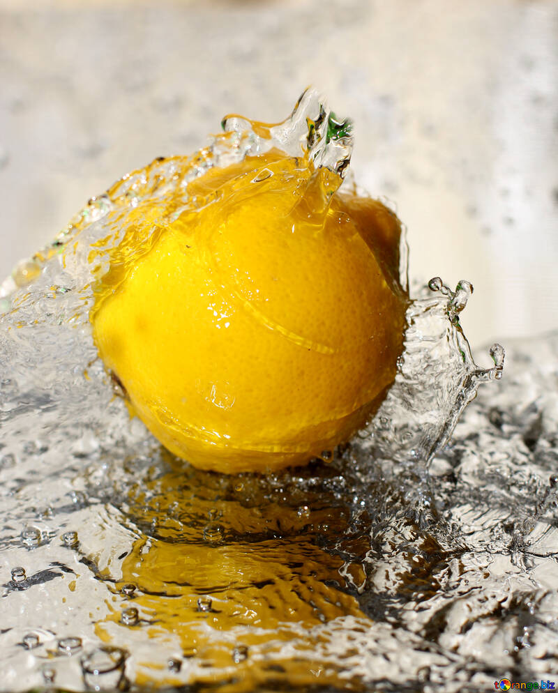 Limone in acqua №30857