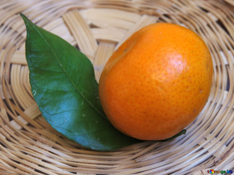 Mandarin with leaf №30346