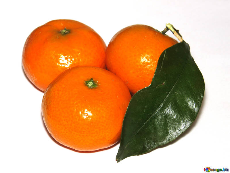 Mandarines №30342