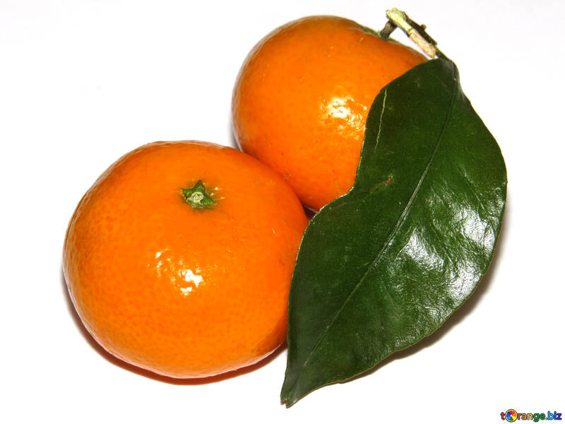 Mandarins №30343