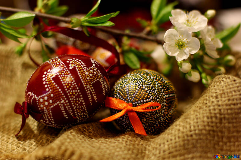 Easter eggs and sprig of flowering tree №30120