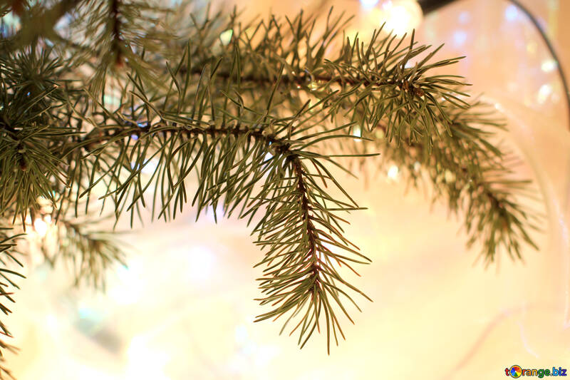 Twig Christmas tree №30987