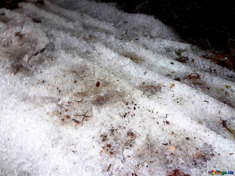 トレイルは汚れた雪で車をトレッドします。 №30837