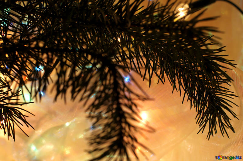 Гілка різдвяного дерева №30985