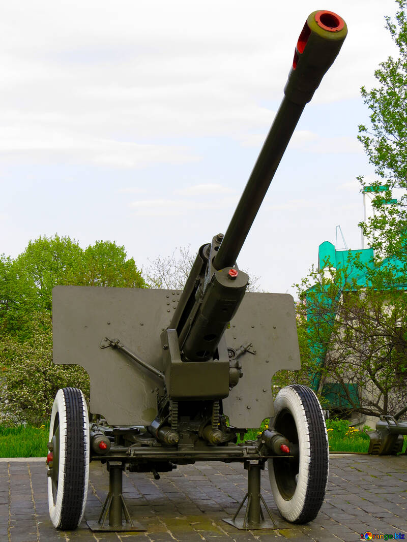 Cannon №30742