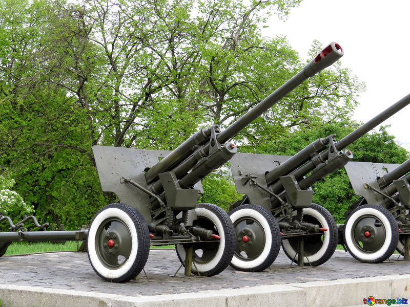 Guns in military museum №30745