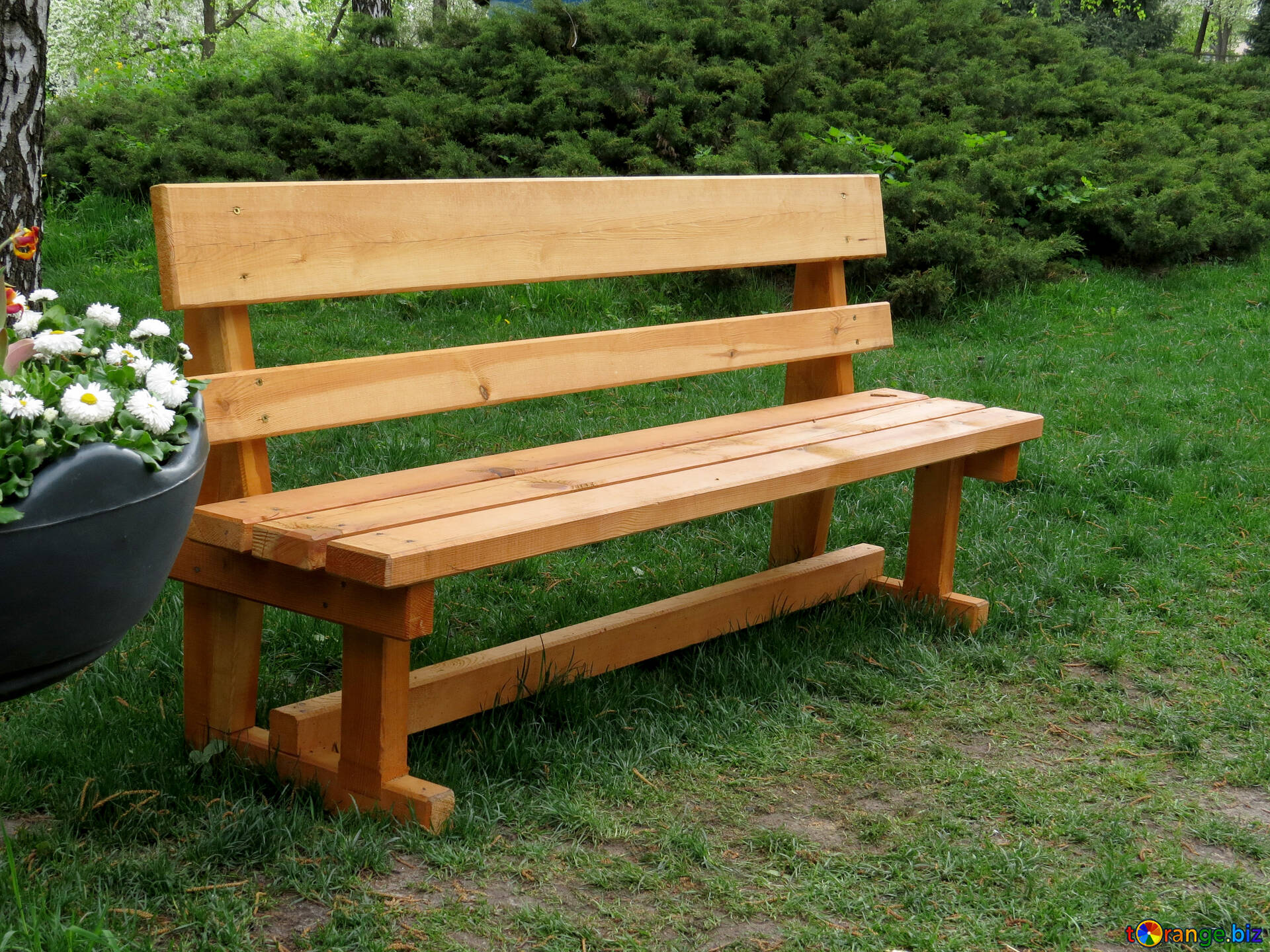 Garden furniture image wooden bench in the park images furniture № 31327 |   ~ free pics on cc-by license