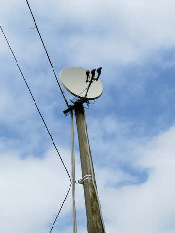 Satelliten-Antenne №31193